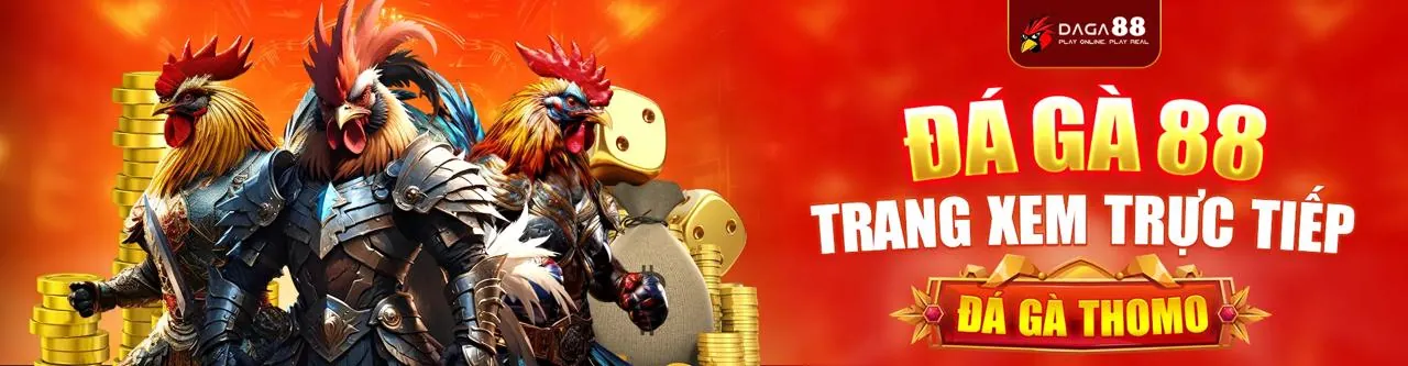 Tải ứng dụng m66 trên điện thoại